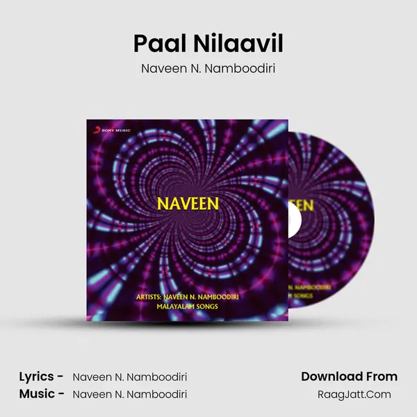 Paal Nilaavil MP3 Song by Naveen N. Namboodiri Cover