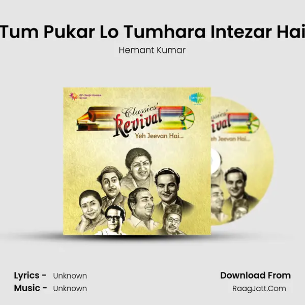 Tum Pukar Lo Tumhara Intezar Hai Cover