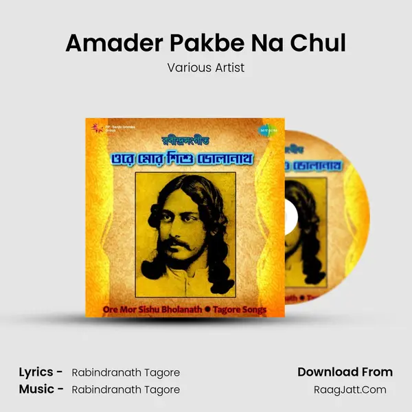 Amader Pakbe Na Chul MP3 Song by Various Artist Cover