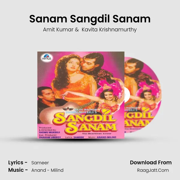 Sanam Sangdil Sanam MP3 Song by Amit Kumar Cover