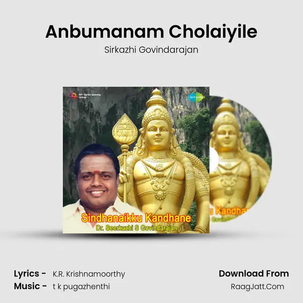 Anbumanam Cholaiyile MP3 Song by Sirkazhi Govindarajan Cover