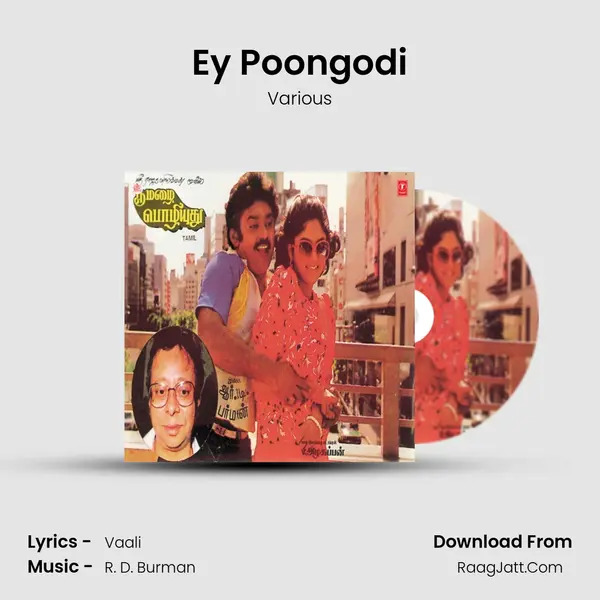 Ey Poongodi MP3 Song by Various Cover