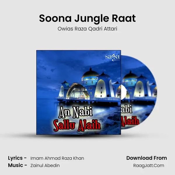 Soona Jungle Raat MP3 Song by Owias Raza Qadri Attari Cover