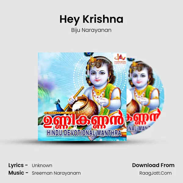 Hey Krishna MP3 Song by Biju Narayanan Cover