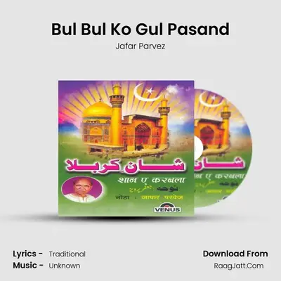 Bul Bul Ko Gul Pasand MP3 Song by Jafar Parvez Cover