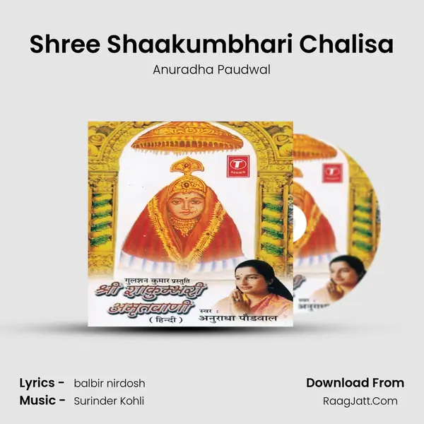 Shree Shaakumbhari Chalisa MP3 Song by Anuradha Paudwal Cover