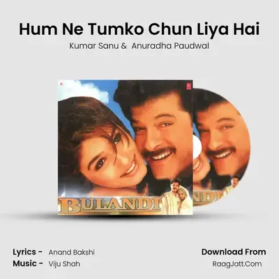 Hum Ne Tumko Chun Liya Hai MP3 Song by Kumar Sanu Cover