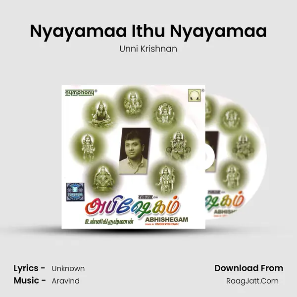 Nyayamaa Ithu Nyayamaa MP3 Song by Unni Krishnan Cover