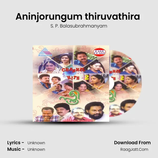 Aninjorungum thiruvathira (M) MP3 Song by S. P. Balasubrahmanyam Cover