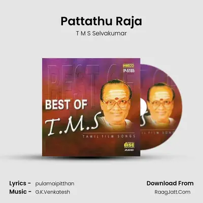 Pattathu Raja MP3 Song by T M S Selvakumar Cover