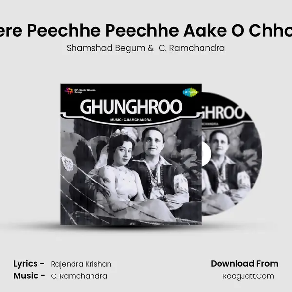 Mere Peechhe Peechhe Aake O Chhore MP3 Song by Shamshad Begum Cover