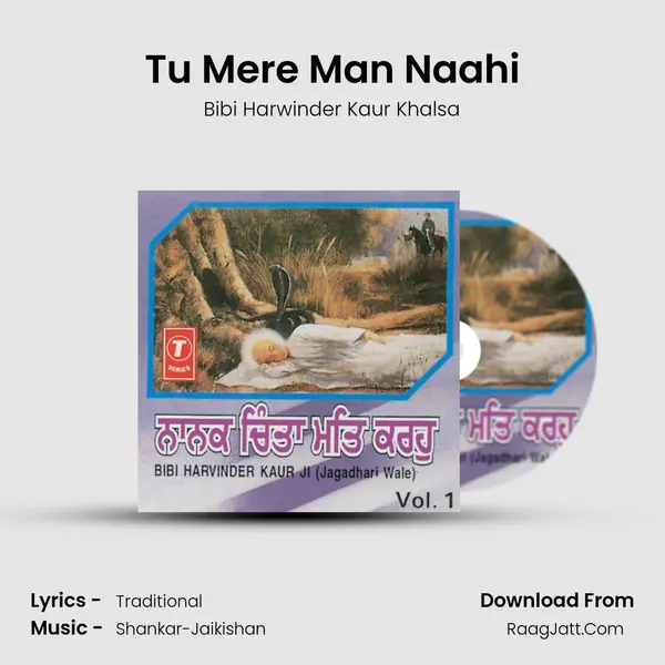 Tu Mere Man Naahi MP3 Song by Bibi Harwinder Kaur Khalsa Cover