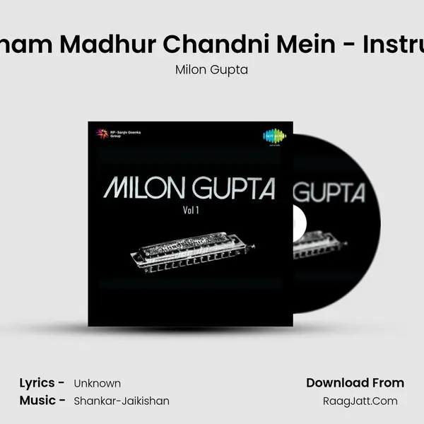 Aaja Sanam Madhur Chandni Mein - Instrumental MP3 Song by Milon Gupta Cover