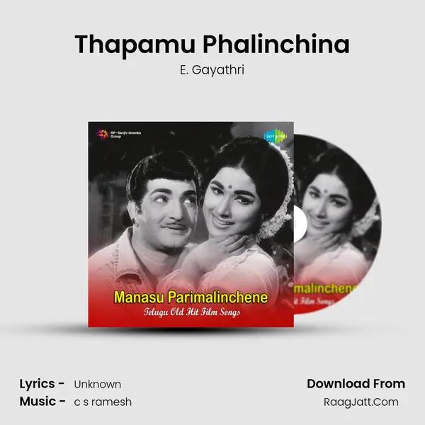 Thapamu Phalinchina MP3 Song by E. Gayathri Cover