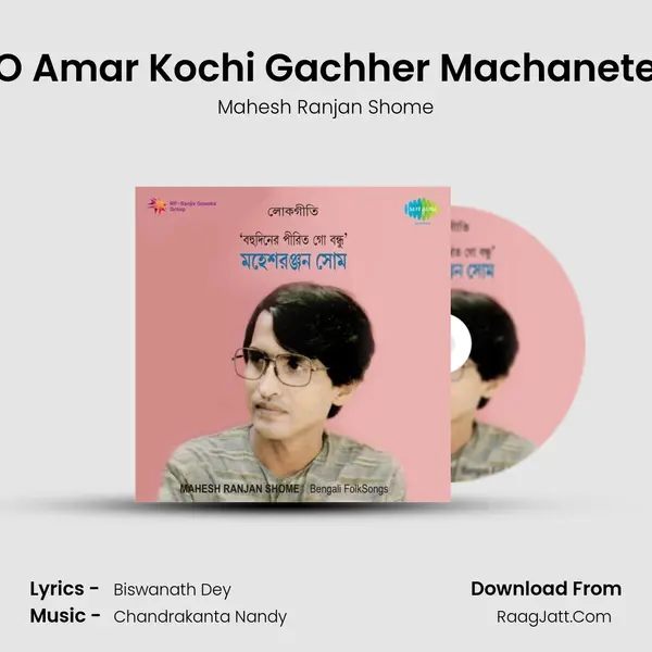 O Amar Kochi Gachher Machanete MP3 Song by Mahesh Ranjan Shome Cover