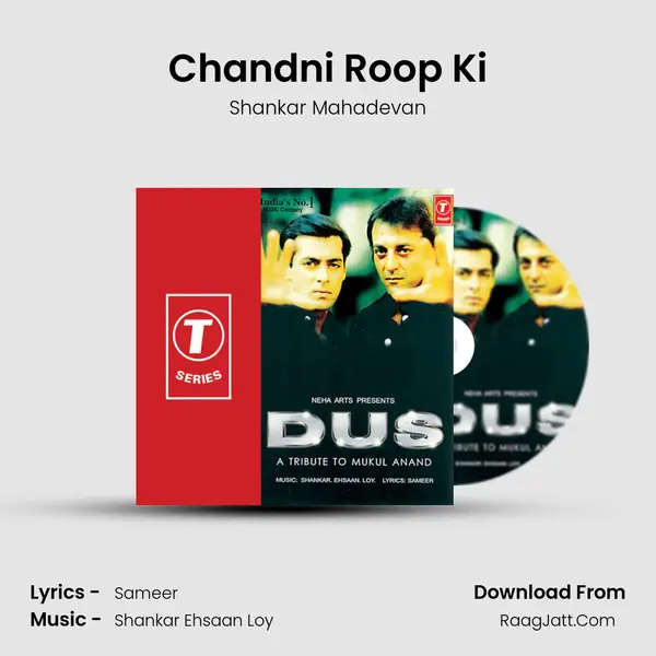 Chandni Roop Ki MP3 Song by Shankar Mahadevan Cover