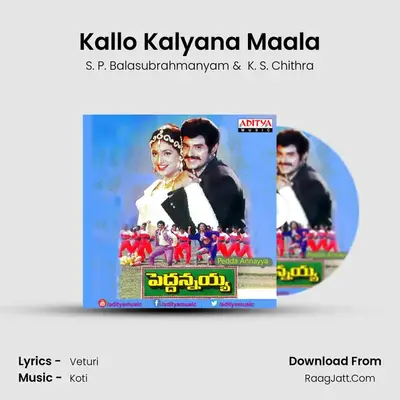 Kallo Kalyana Maala MP3 Song by S. P. Balasubrahmanyam Cover