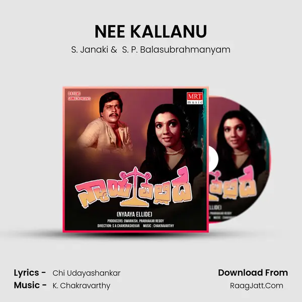 NEE KALLANU MP3 Song by S. Janaki Cover