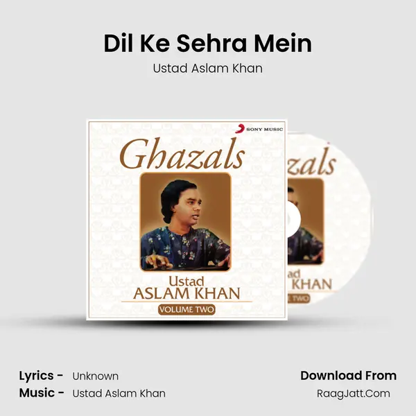Dil Ke Sehra Mein MP3 Song by Ustad Aslam Khan Cover