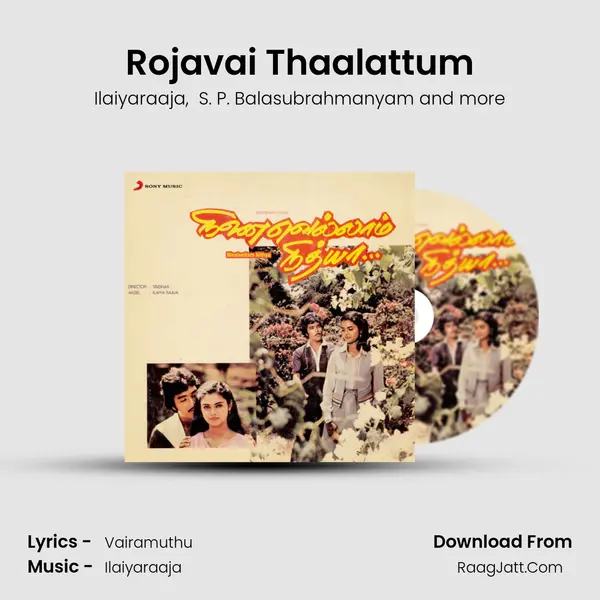 Rojavai Thaalattum MP3 Song by Ilaiyaraaja Cover