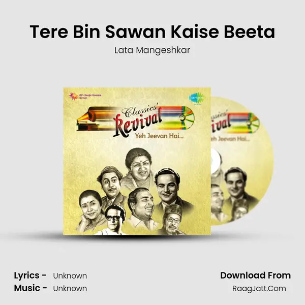 Tere Bin Sawan Kaise Beeta Cover