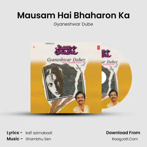 Mausam Hai Bhaharon Ka mp3 song