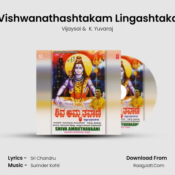 Shiva Stuthi(Shivashtakam Vishwanathashtakam Lingashtakam Bhilwashtakam Kalabhai MP3 Song by Vijaysai Cover