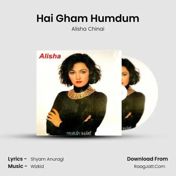 Hai Gham Humdum MP3 Song by Alisha Chinai Cover