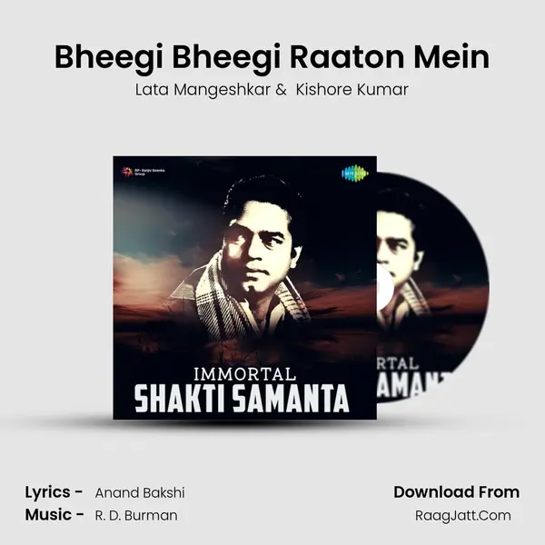 Bheegi Bheegi Raaton Mein Cover