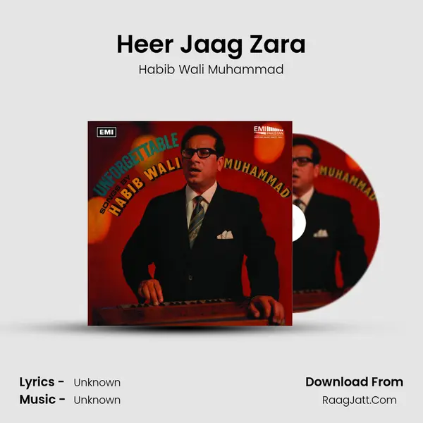 Heer Jaag Zara MP3 Song by Habib Wali Muhammad Cover