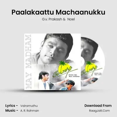 Paalakaattu Machaanukku MP3 Song by G.v. Prakash Cover