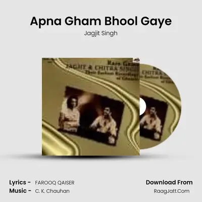 Vintage Ghazals Jagjit Chitra - Jagjit Singh