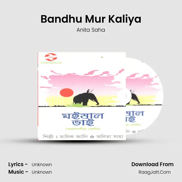 Bandhu Mur Kaliya MP3 Song by Anita Saha Cover