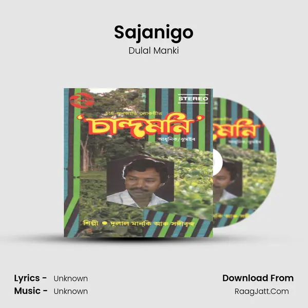 Sajanigo MP3 Song by Dulal Manki Cover