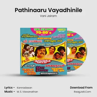 Pathinaaru Vayadhinile MP3 Song by Vani Jairam Cover