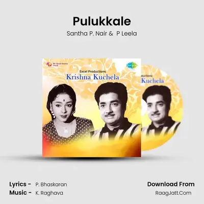 Pulukkale MP3 Song by Santha P. Nair Cover