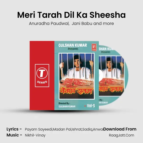 Meri Tarah Dil Ka Sheesha MP3 Song by Anuradha Paudwal Cover