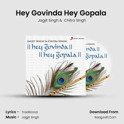 Hey Govinda Hey Gopala - Jagjit Singh