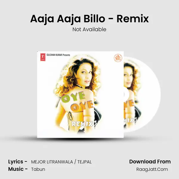 Aaja Aaja Billo - Remix MP3 Song by Not Available Cover