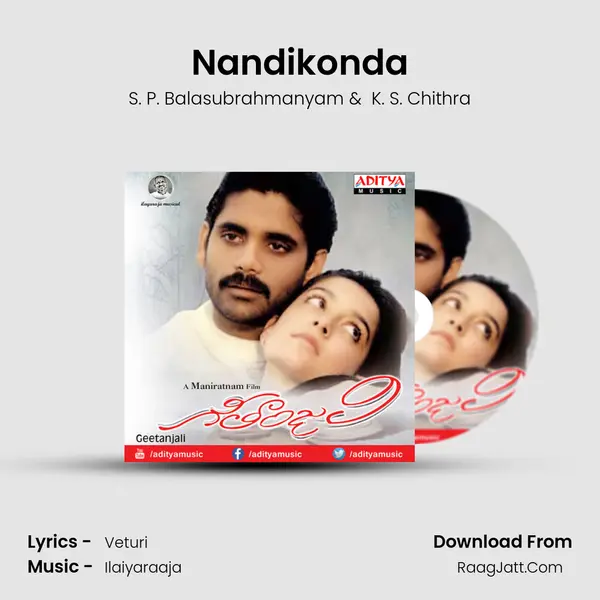 Nandikonda MP3 Song by S. P. Balasubrahmanyam Cover