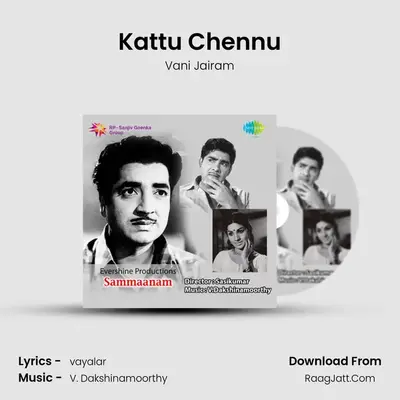 Kattu Chennu MP3 Song by Vani Jairam Cover