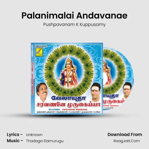 Palanimalai Andavanae MP3 Song by Pushpavanam K Kuppusamy Cover