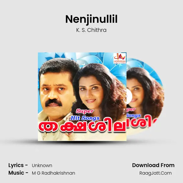 Nenjinullil MP3 Song by K. S. Chithra Cover