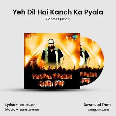 Parvez Quadir - Hindi Pop - Parvez Quadir