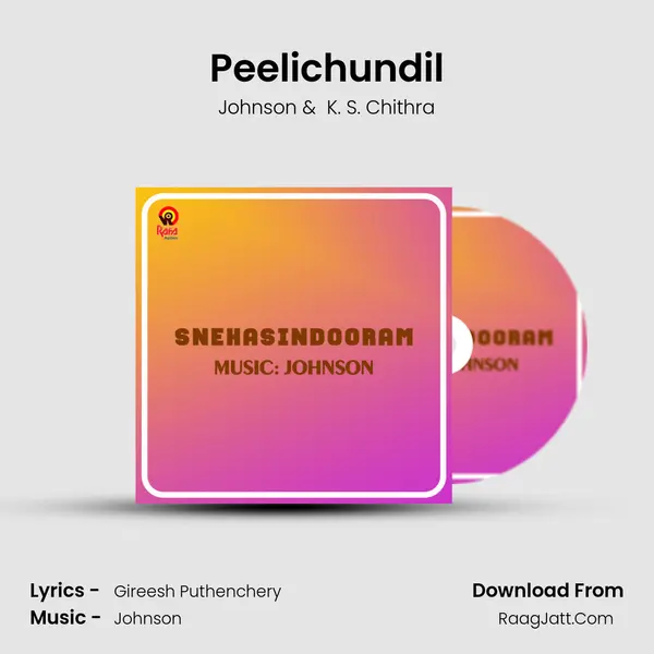 Peelichundil MP3 Song by Johnson Cover