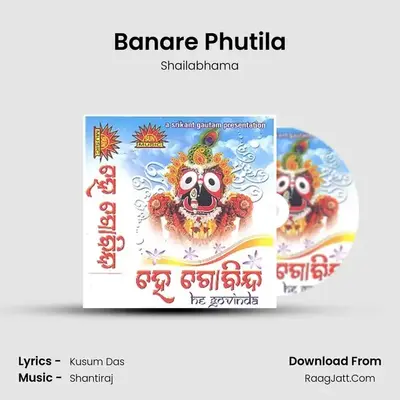 Banare Phutila MP3 Song by Shailabhama Cover