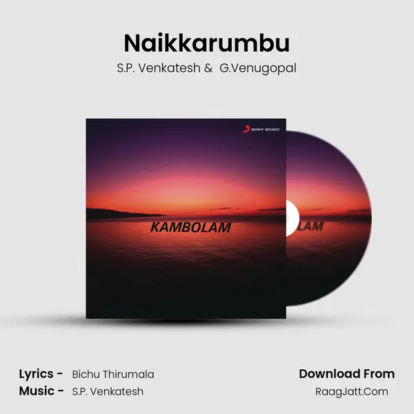 Naikkarumbu MP3 Song by S.P. Venkatesh Cover