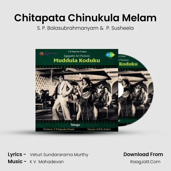 Chitapata Chinukula Melam MP3 Song by S. P. Balasubrahmanyam Cover