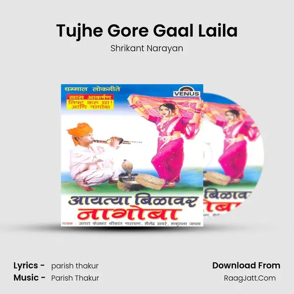 Tujhe Gore Gaal Laila MP3 Song by Shrikant Narayan Cover