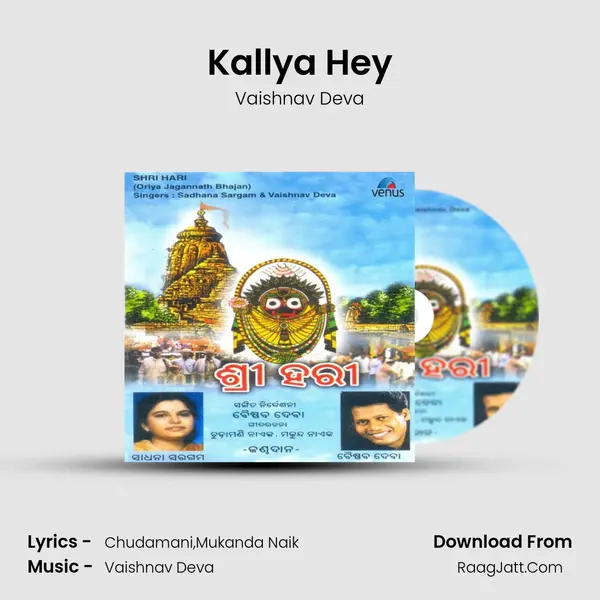 Kallya Hey MP3 Song by Vaishnav Deva Cover